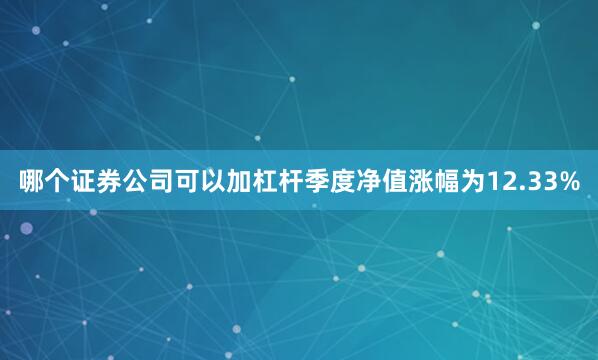 哪个证券公司可以加杠杆季度净值涨幅为12.33%