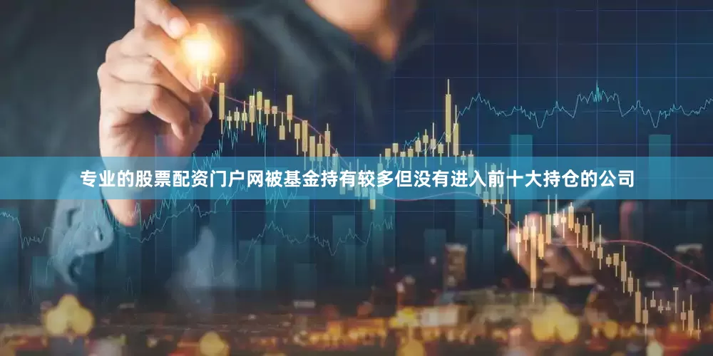 专业的股票配资门户网被基金持有较多但没有进入前十大持仓的公司