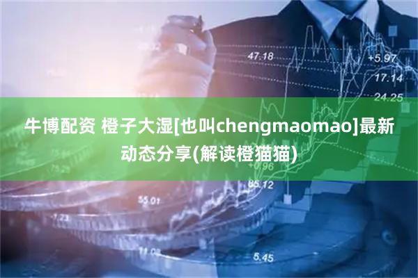 牛博配资 橙子大湿[也叫chengmaomao]最新动态分享(解读橙猫猫)