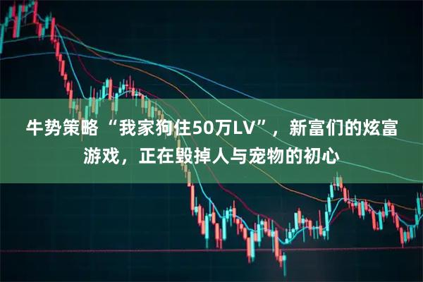 牛势策略 “我家狗住50万LV”,新富们的炫富游戏,正在毁掉人与宠物的初心