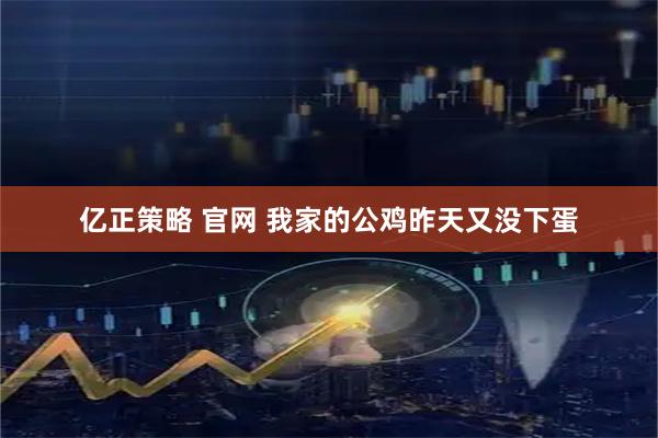 亿正策略 官网 我家的公鸡昨天又没下蛋