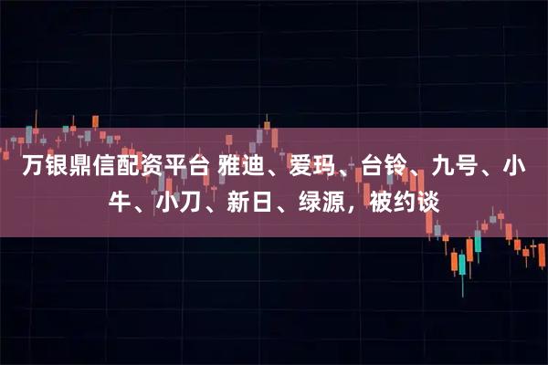 万银鼎信配资平台 雅迪、爱玛、台铃、九号、小牛、小刀、新日、绿源，被约谈